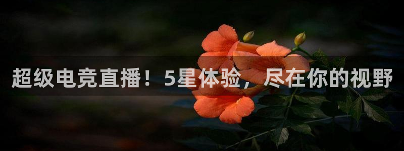 nba柠檬免费直播：超级电竞直播！5星体验，尽在你的视野