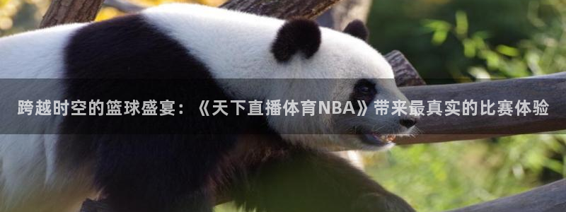 足球直播柠檬：跨越时空的篮球盛宴：《天下直播体育NBA》带来最真实的比赛体验