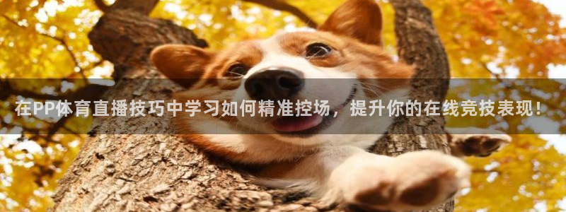 柠檬直播足球赛事：在PP体育直播技巧中学习如何精准控场，提升你的在线竞技表现！