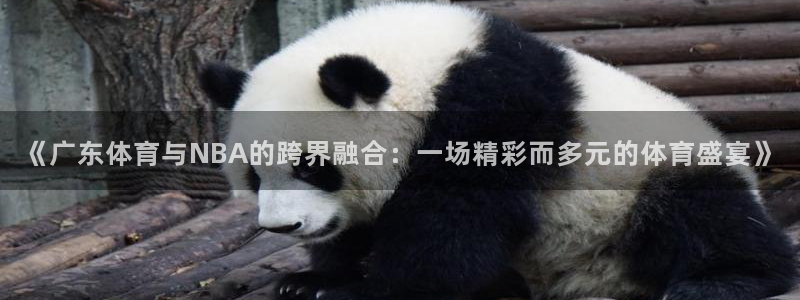 柠檬直播吧足球：《广东体育与NBA的跨界融合：一场精彩而多元的体育盛宴》