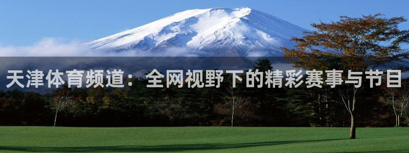 足球比赛直播柠檬：天津体育频道：全网视野下的精彩赛事与节目