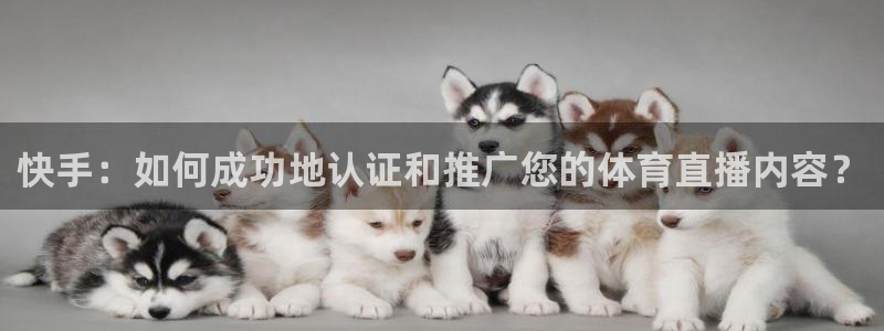 柠檬体育直播篮球：快手：如何成功地认证和推广您的体育直播内容？