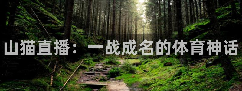 足球高清免费直播柠檬：山猫直播：一战成名的体育神话