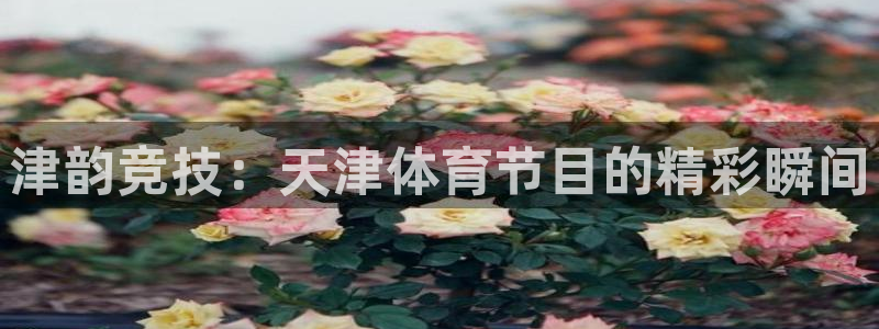 柠檬直播网：津韵竞技：天津体育节目的精彩瞬间