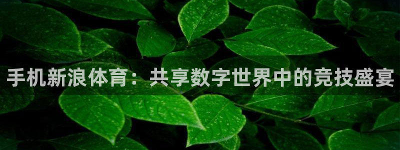 柠檬直播体育nba：手机新浪体育：共享数字世界中的竞技盛宴