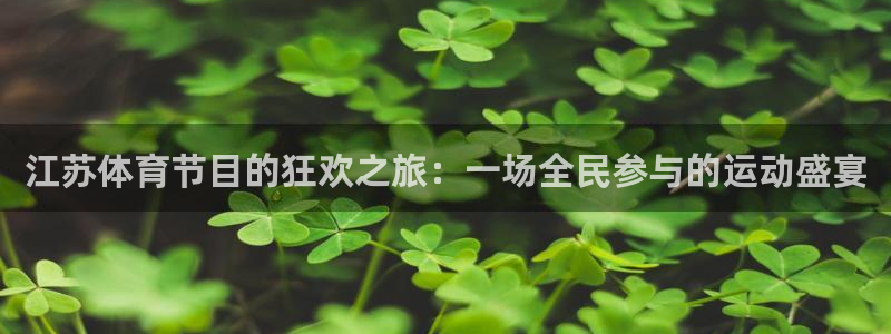 柠檬直播体育篮球：江苏体育节目的狂欢之旅：一场全民参与的运动盛宴