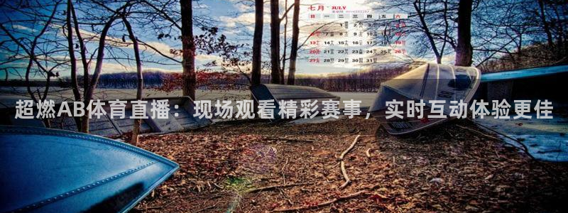 柠檬体育直播在线观看免费：超燃AB体育直播：现场观看精彩赛事，实时互动体验更佳